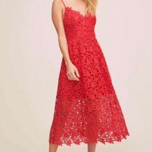 Astr the label Lace Dress